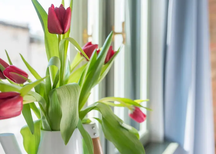 Apartament Provenir Strzelecka 25 Poznań