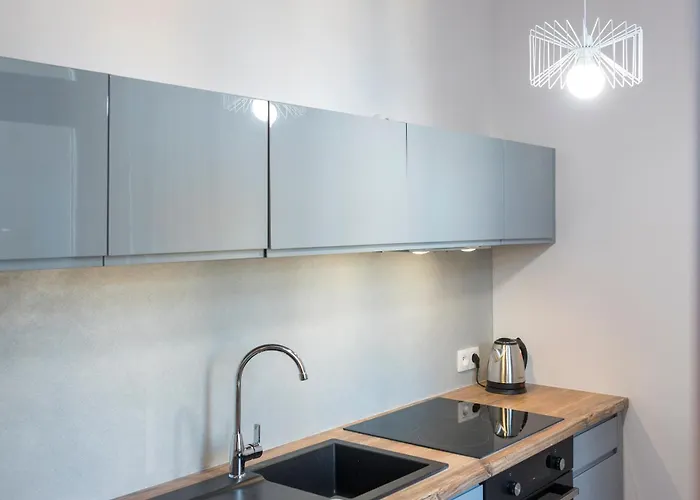 Provenir Strzelecka 25