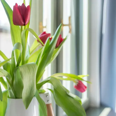 アパート Provenir Strzelecka 25 ポズナン