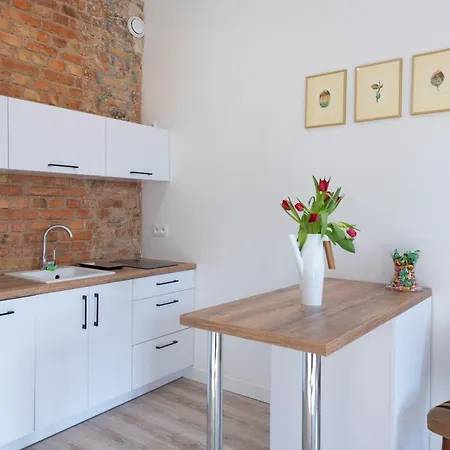 アパート Provenir Strzelecka 25 ポズナン